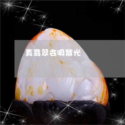 真翡翠会吸紫光/2023032862584 真翡翠会吸紫光/2023032862584