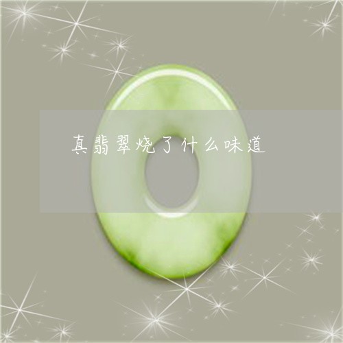 真翡翠烧了什么味道/2023041395150