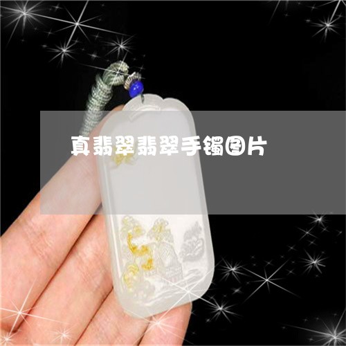 真翡翠翡翠手镯图片/2023041328360