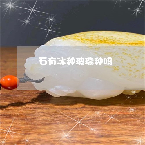 矅石有冰种玻璃种吗/2023041354715