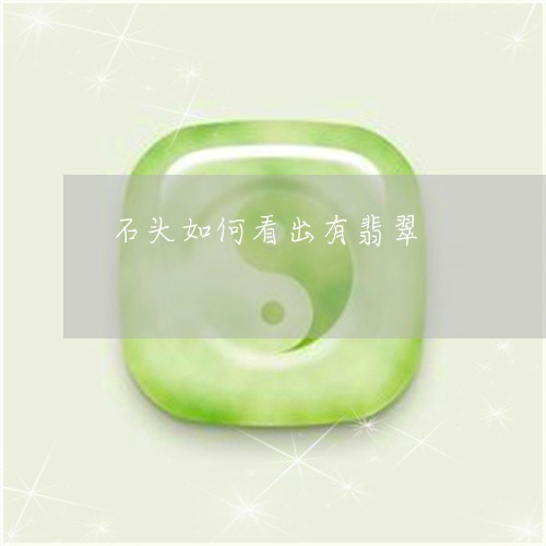 石头如何看出有翡翠/2023041396148