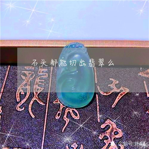 石头都能切出翡翠么/2023041321725 石头都能切出翡翠么/2023041321725