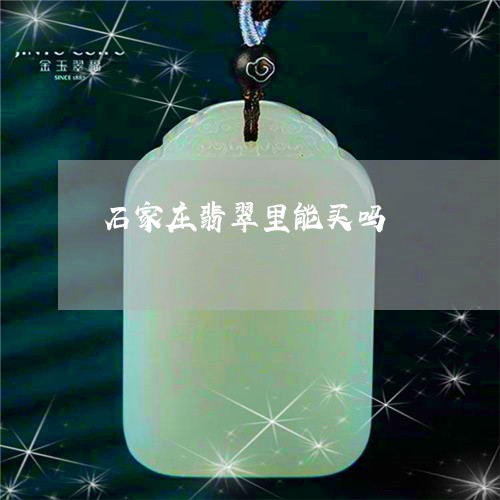 石家庄翡翠里能买吗/2023041361037