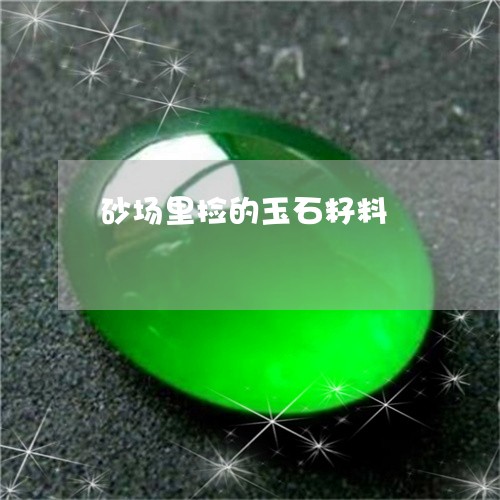砂场里捡的玉石籽料/2023041321573 砂场里捡的玉石籽料/2023041321573