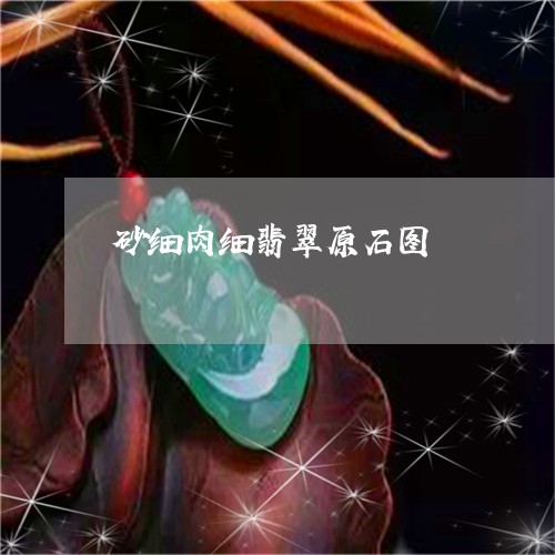 砂细肉细翡翠原石图/2023041316480