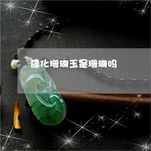 硅化珊瑚玉是珊瑚吗/2023041330603