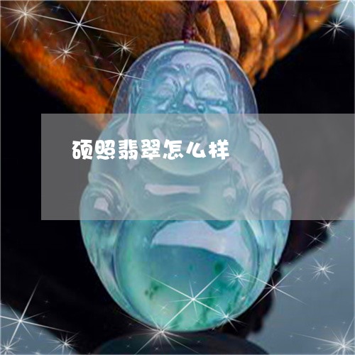 硕照翡翠怎么样/2023032962647 硕照翡翠怎么样/2023032962647