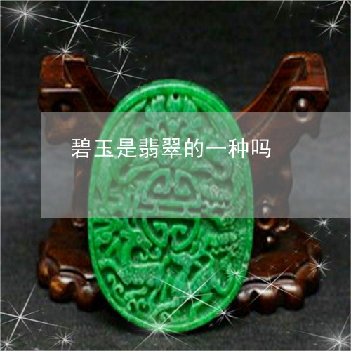 碧玉是翡翠的一种吗/2023041396948