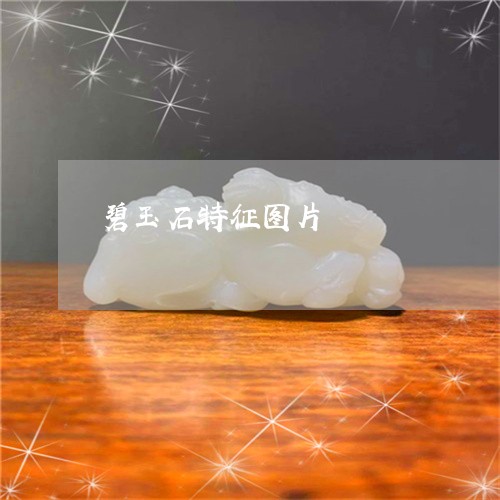 碧玉石特征图片/2023032862581