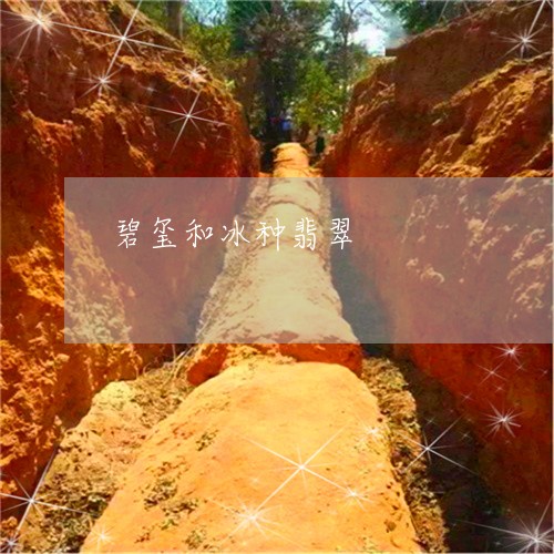 碧玺和冰种翡翠/2023032829149 碧玺和冰种翡翠/2023032829149