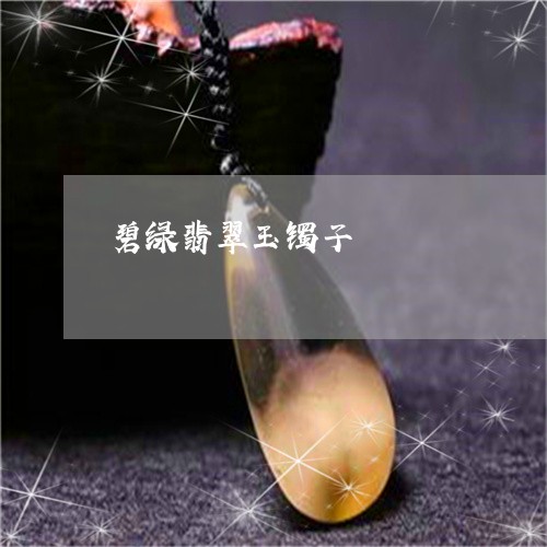 碧绿翡翠玉镯子/2023032892614 碧绿翡翠玉镯子/2023032892614