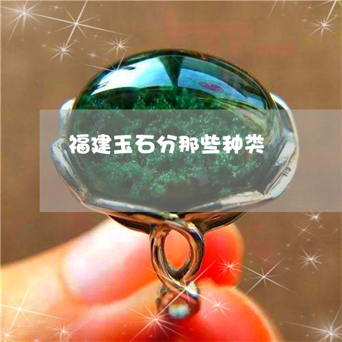 福建玉石分那些种类/2023041433848 福建玉石分那些种类/2023041433848