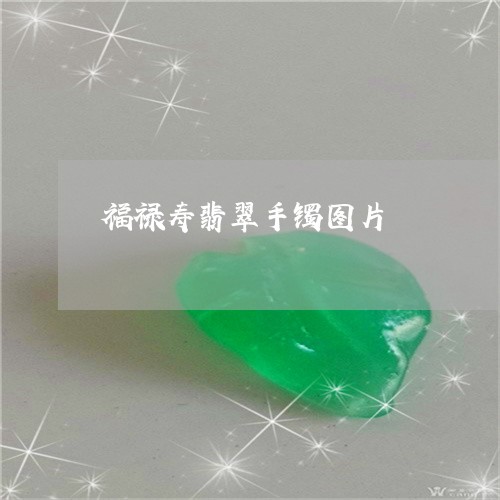 福禄寿翡翠手镯图片/2023041444828 福禄寿翡翠手镯图片/2023041444828
