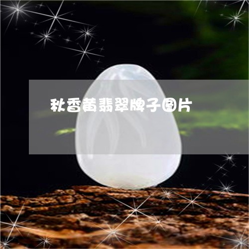 秋香黄翡翠牌子图片/2023041460827