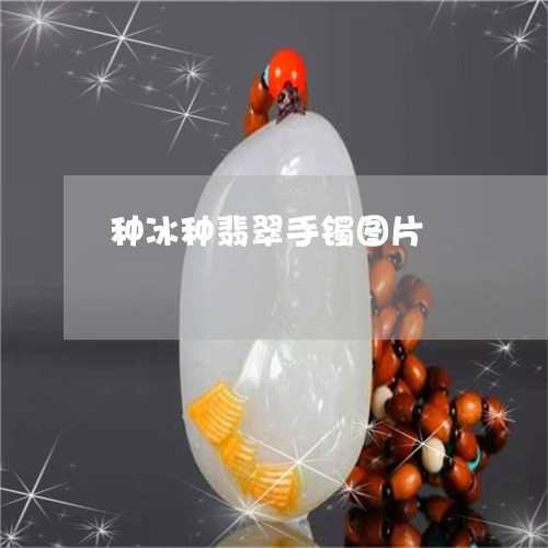 种冰种翡翠手镯图片/2023041465370