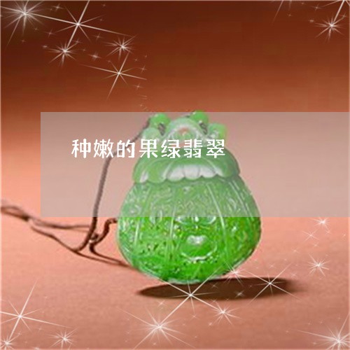 种嫩的果绿翡翠/2023032861717