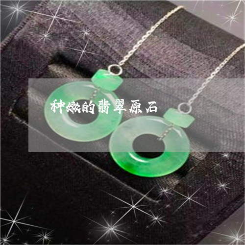 种嫩的翡翠原石/2023032873682 种嫩的翡翠原石/2023032873682
