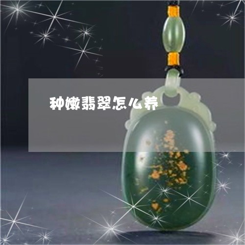 种嫩翡翠怎么养/2023032934736 种嫩翡翠怎么养/2023032934736