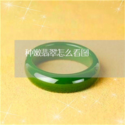 种嫩翡翠怎么看图/2023031492704