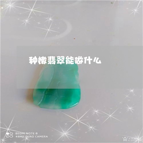 种嫩翡翠能做什么/2023031474049