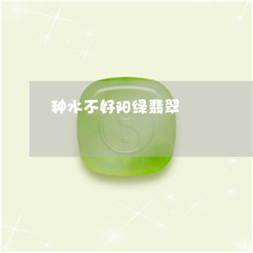 种水不好阳绿翡翠/2023031444047