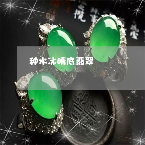 种水冰晴底翡翠/2023032984745 种水冰晴底翡翠/2023032984745