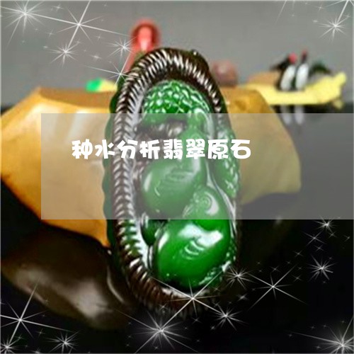 种水分析翡翠原石/2023031467248