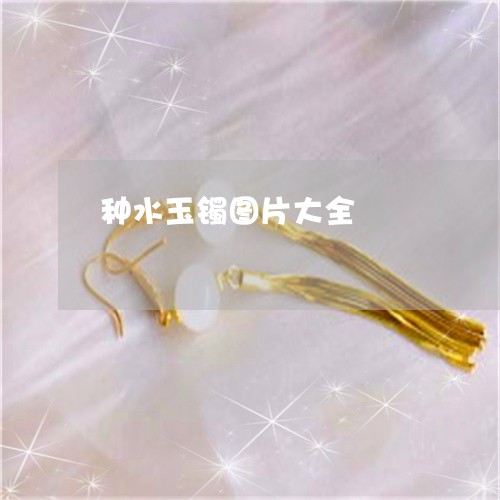 种水玉镯图片大全/2023031405240 种水玉镯图片大全/2023031405240