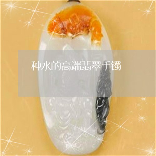种水的高端翡翠手镯/2023041471715 种水的高端翡翠手镯/2023041471715