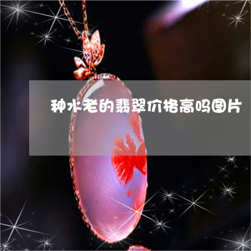种水老的翡翠价格高吗图片/2023062860471 种水老的翡翠价格高吗图片/2023062860471