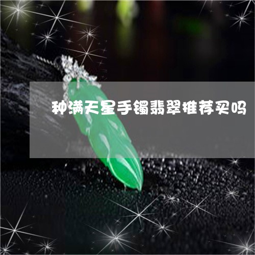 种满天星手镯翡翠推荐买吗/2023071129482