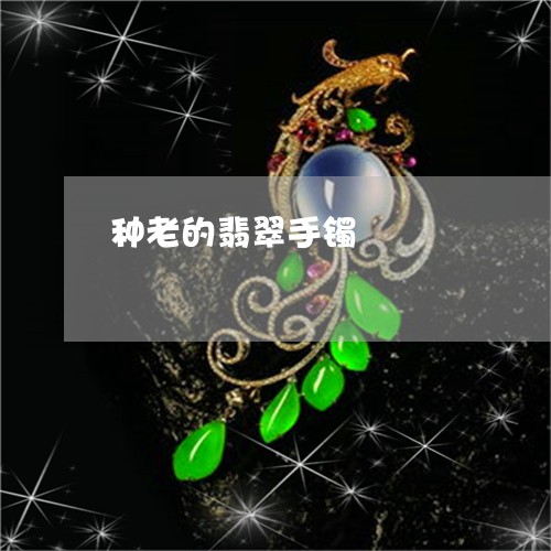 种老的翡翠手镯/2023032972704 种老的翡翠手镯/2023032972704