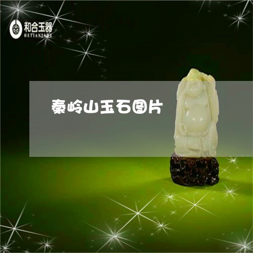 秦岭山玉石图片/2023032996048 秦岭山玉石图片/2023032996048