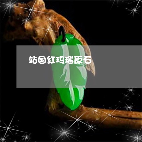 站国红玛瑙原石/2023032938271