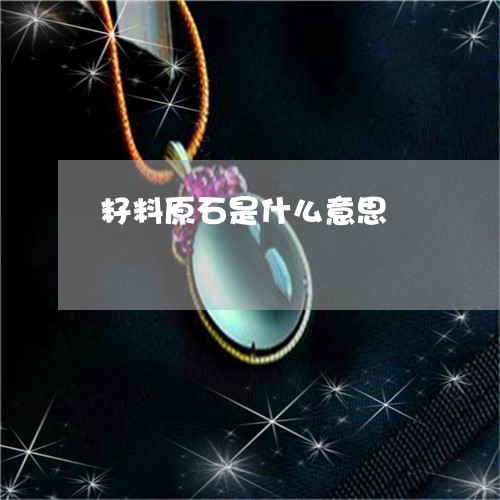 籽料原石是什么意思/2023041496152 籽料原石是什么意思/2023041496152