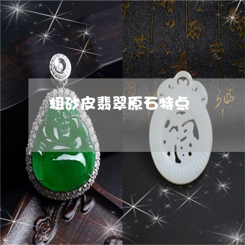 粗砂皮翡翠原石特点/2023041434060