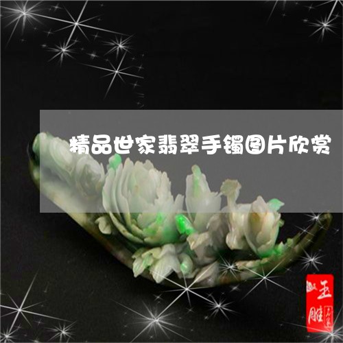 精品世家翡翠手镯图片欣赏/2023062919604