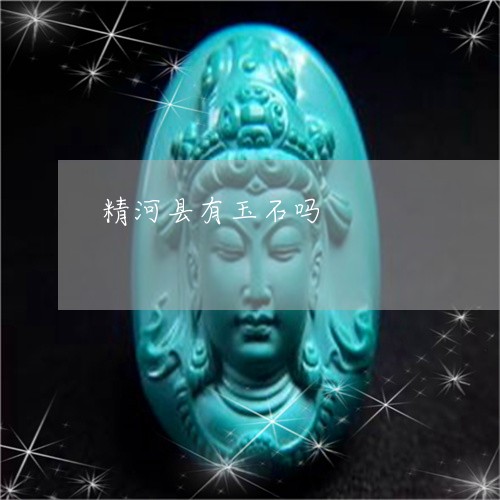 精河县有玉石吗/2023032995947 精河县有玉石吗/2023032995947