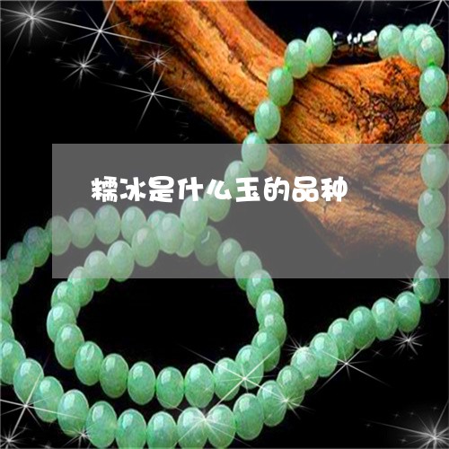 糯冰是什么玉的品种/2023041450614 糯冰是什么玉的品种/2023041450614
