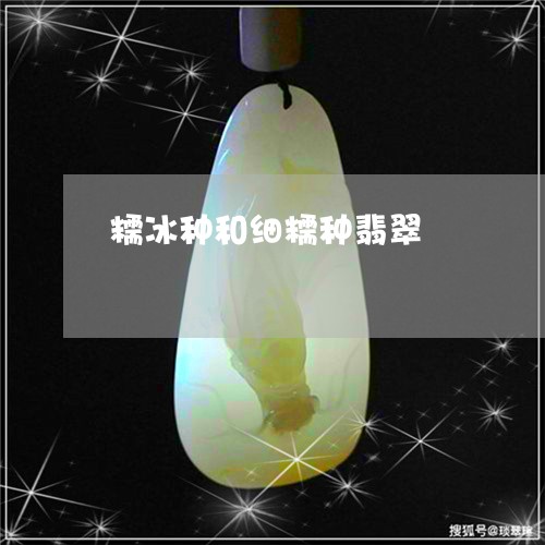 糯冰种和细糯种翡翠/2023041485258 糯冰种和细糯种翡翠/2023041485258