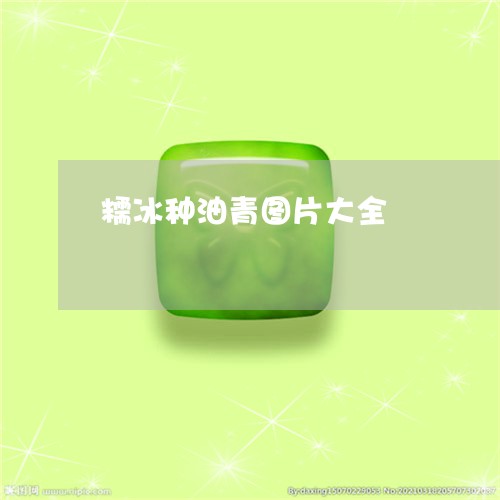 糯冰种油青图片大全/2023041461826 糯冰种油青图片大全/2023041461826
