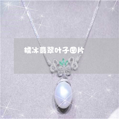 糯冰翡翠叶子图片/2023031456593 糯冰翡翠叶子图片/2023031456593