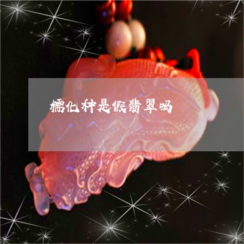糯化种是假翡翠吗/2023031479502 糯化种是假翡翠吗/2023031479502