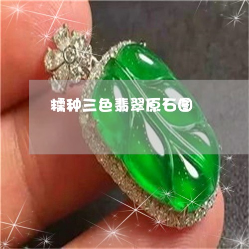 糯种三色翡翠原石图/2023041337280 糯种三色翡翠原石图/2023041337280