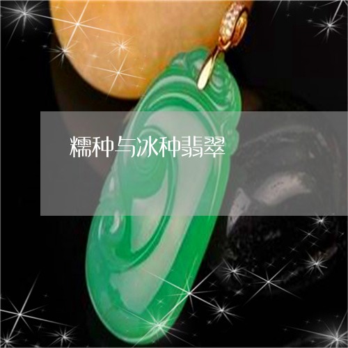 糯种与冰种翡翠/2023032820593 糯种与冰种翡翠/2023032820593