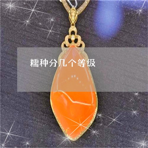 糯种分几个等级/2023032836359