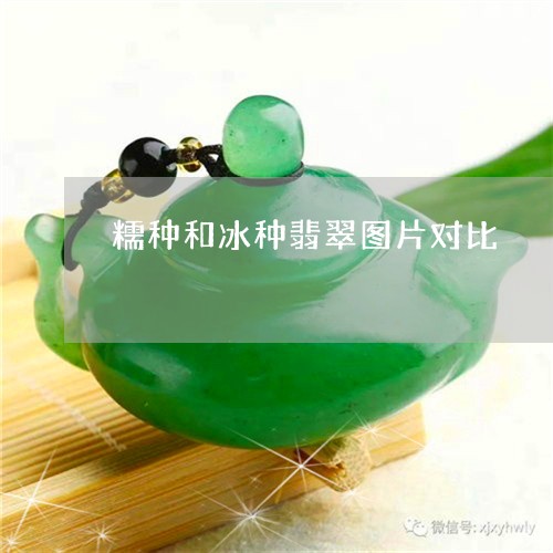 糯种和冰种翡翠图片对比/2023060894836