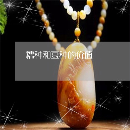 糯种和豆种的价值/2023031510795