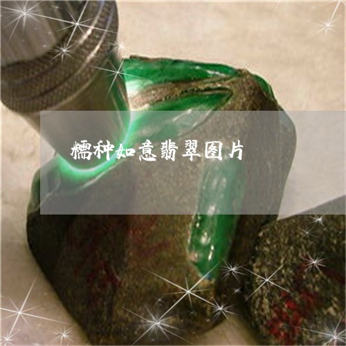 糯种如意翡翠图片/2023031590473 糯种如意翡翠图片/2023031590473