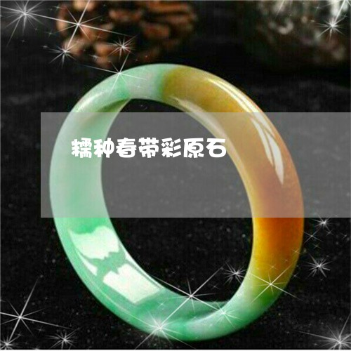 糯种春带彩原石/2023032872503 糯种春带彩原石/2023032872503